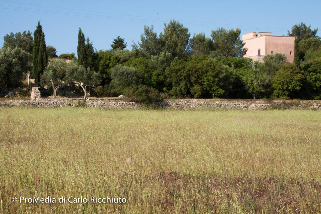 Masseria Moresano Bed & Breakfast Ugento Room photo