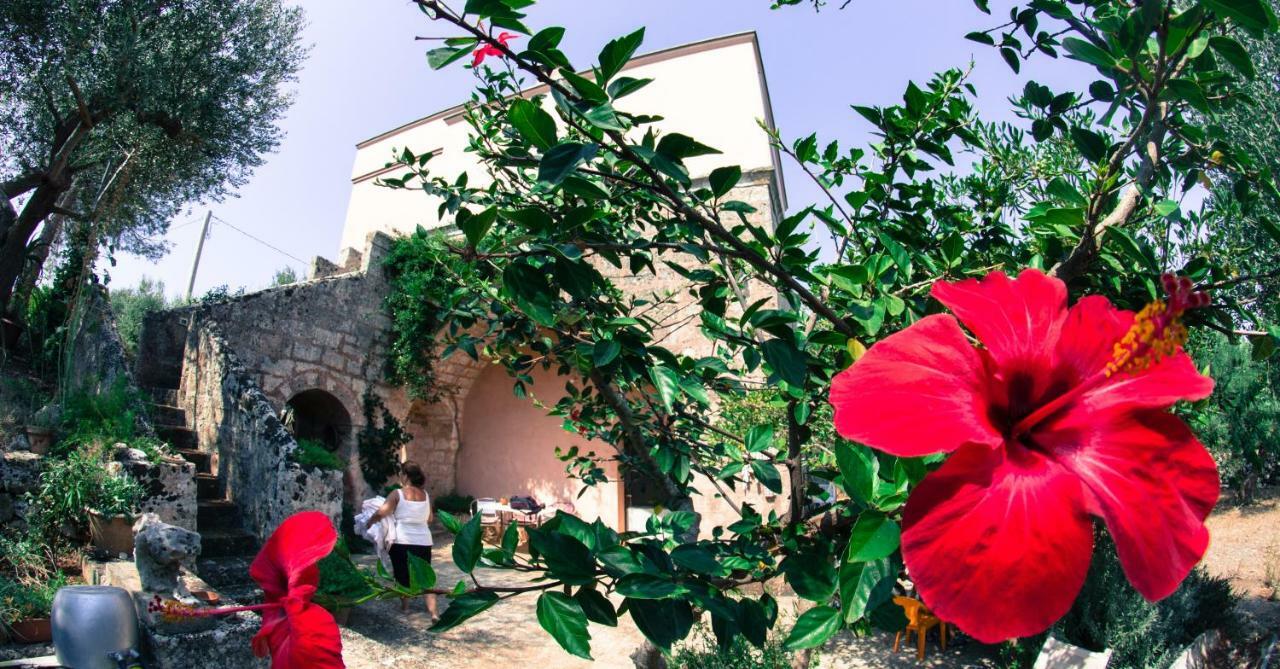 Masseria Moresano Bed & Breakfast Ugento Room photo